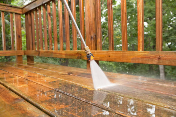 Best Window and Screen Pressure Cleaning in Wanamingo, MN